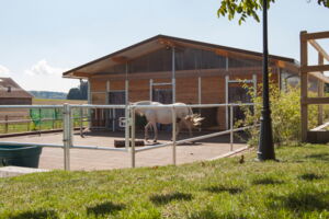 Laufstall Müller, Gächliwil (SO)