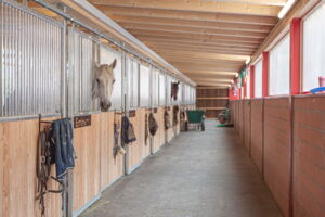 Privatstall Gisler, Seedorf (UR)