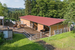 Pensionsstall Lehmann-Hefti, St.Gallen (SG)