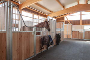 Ziegelhof, Effingen (ZH)