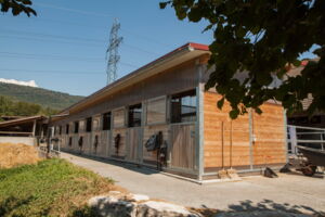 Pensionsstall Kummer, Rupperswil (AG)